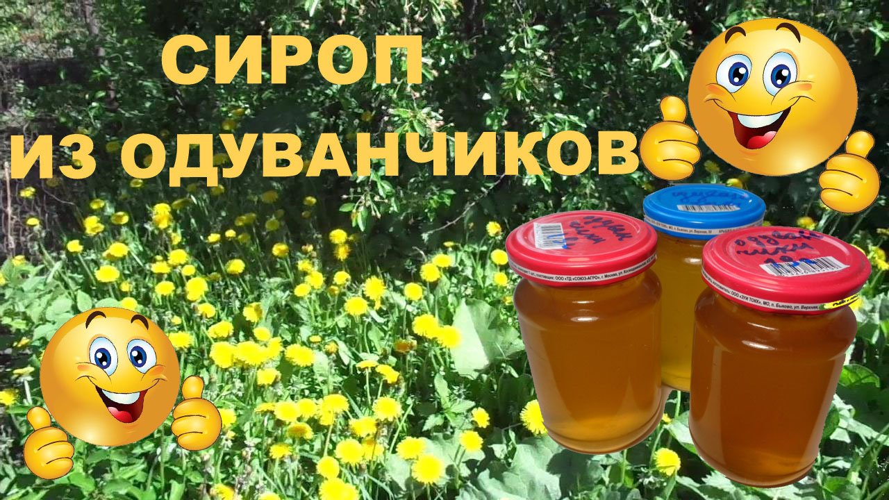 Сироп из одуванчиков. Одуванчиковый мёд. смотреть онлайн