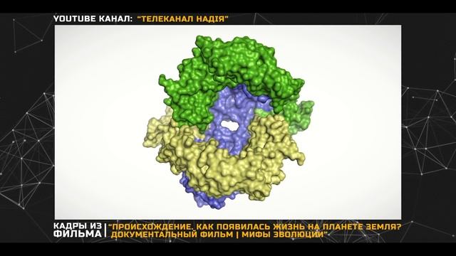 Крах теории эволюции | The collapse of the theory of evolution смотреть онлайн