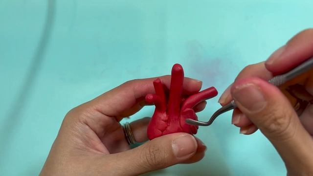 Cómo hacer un Corazón Anatómico con arcilla polimérica | Anatomical heart with polymer clay DIY смотреть онлайн
