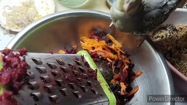 Славянск.24.02.24.День с датой🥀 А дома ,как всегда,суета и форс-мажор‼️ и День Рождения у Внука!🎂 смотреть онлайн