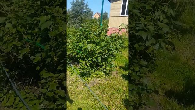 Продолжение дача смотреть онлайн