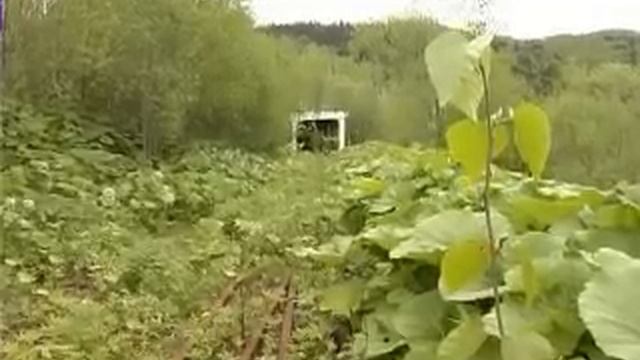 японская дорога на сахалине_АСТВ.flv смотреть онлайн