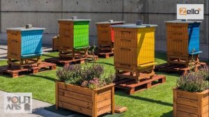 27.04.20 г. Z-рация, канал "Творческое пчеловодство" Малыхин В.Е., Технология содержания пчел