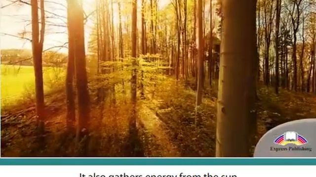 Excel 8 Module 6 P72 Tree Parts And Functions