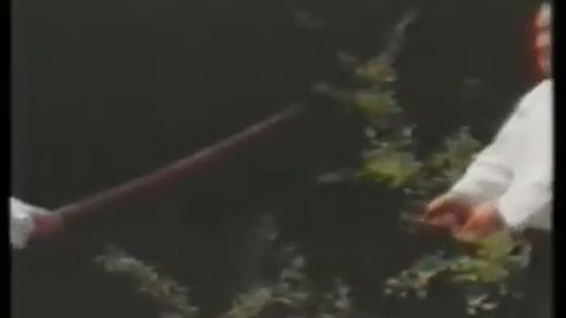 Samurai Aikijutsu VHS смотреть онлайн