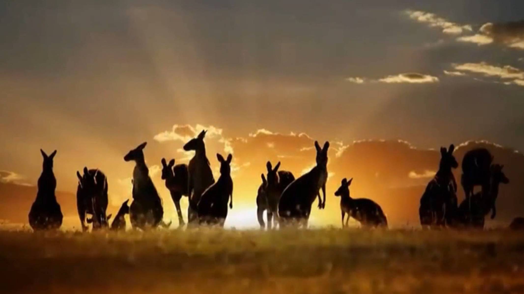 Истина в стихах. Вокруг тебя твой мир, твой век. 16.04.21. смотреть онлайн