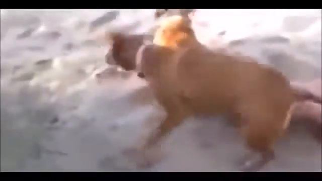 Сэкс👨❤️👨 на поле,,,,Лучшие приколы 2018😮