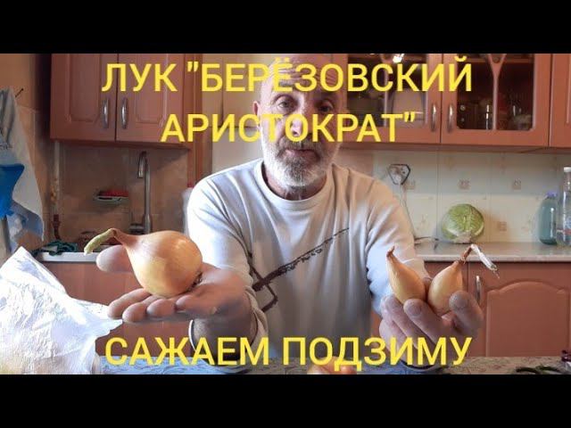 октябрь. посадка лука "берёзовский аристократ" смотреть онлайн