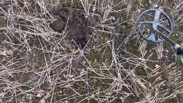 XP DEUS 2 Ancient Silver Hammered Coins Everywhere! Metal Detecting In Norfolk Uk Using XP Deus 1 смотреть онлайн