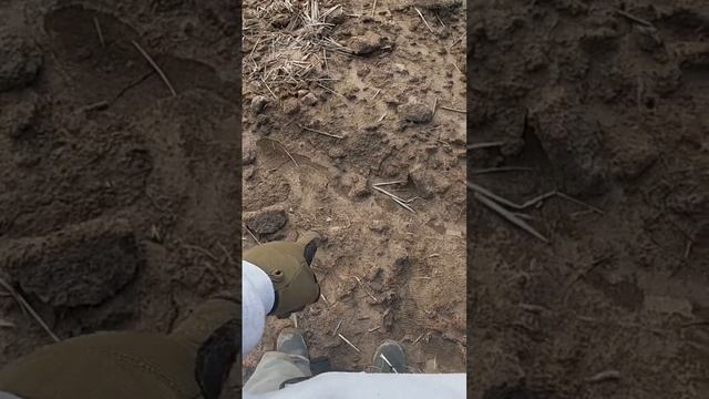 Civil War Relic on top of the Ground!! #ramdetecting #metaldetecting #dirtfishing #unbelievable смотреть онлайн