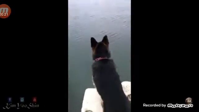 Siktir Git Oğlum смотреть онлайн