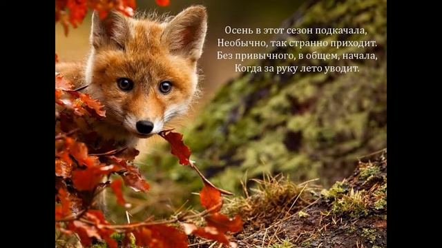 Автор ролика Виталий Тищенко (Ростов-н\Д). А на прощание скажу... смотреть онлайн