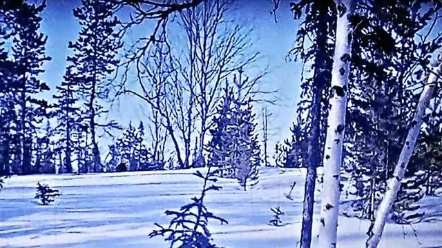 "Зимнее Новогоднее". Монтаж Никитенкова Лариса. 10 12 2018г. смотреть онлайн