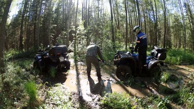 Гепард вытаскивает Леопарда