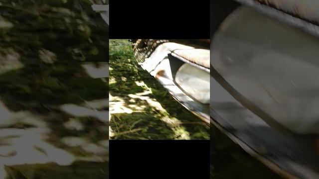 Двигатель MAN D0826 GF01 смотреть онлайн