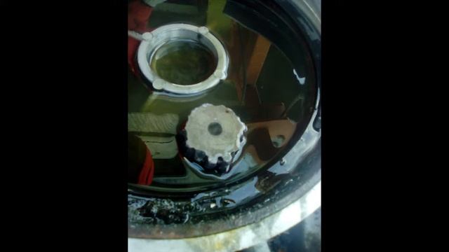 Отзыв о ZLP630 смотреть онлайн