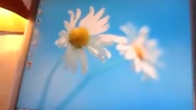 Отправлено с моего Windows Phone смотреть онлайн