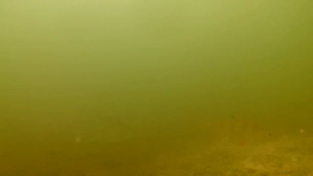 Подводная съёмка на прикормленной лунки .Зимняя рыбалка