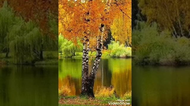 мне нравится, что вы больны не мной смотреть онлайн