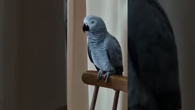 Когда папа вернулся из больницы.,. смотреть онлайн