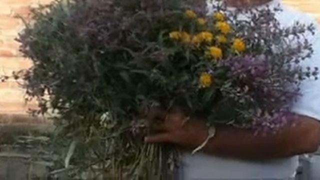 "Снится мне деревня" исполняет Ирина Фрёлих смотреть онлайн