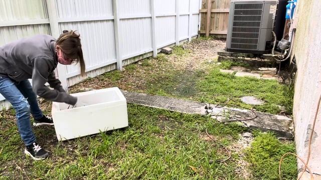 ASMR! Cleaning Vlog!???Cleaning The Yard! Hunt For Bones!?????NIENTE!!? смотреть онлайн