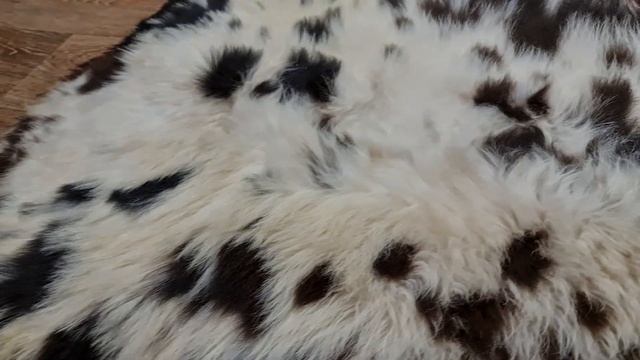 ОВЕЧЬЯ ШКУРА ПЯТНИСТАЯ - ДАЛМАТИНЕЦ (КОД: 4847) смотреть онлайн