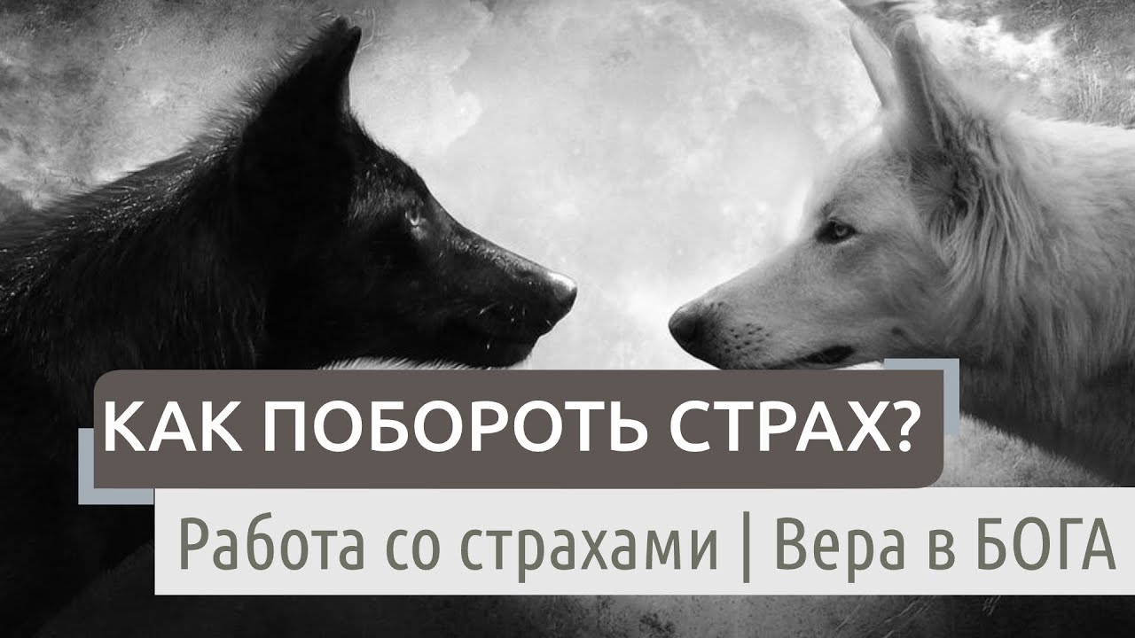 Как побороть страх перед жизнью? смотреть онлайн
