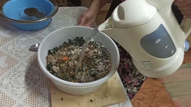 Салат для кур. Яиц несут много и они огромные??? Удовольствие держать несушек... смотреть онлайн