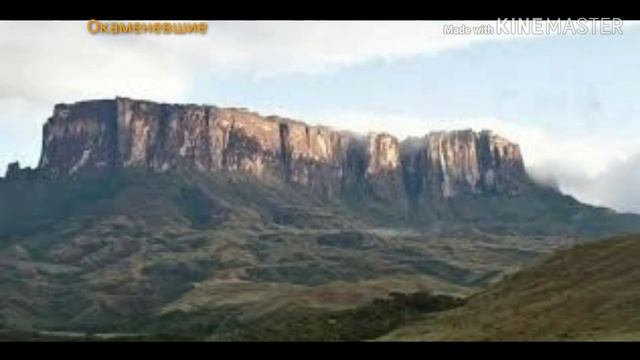 Исчезнувшие деревья ГИГАНТЫ. Планета земля смотреть онлайн