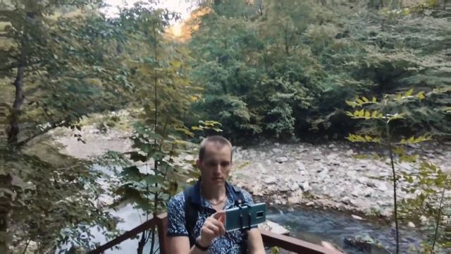 Тисо-Самшитовая роща, Хоста смотреть онлайн