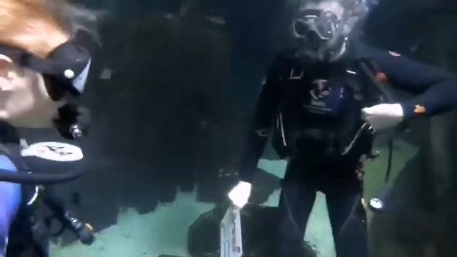Сделал предложение руки и сердца под водой! смотреть онлайн
