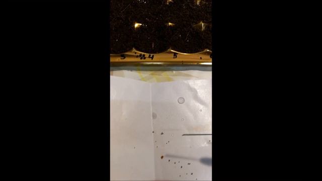 53. En Metode å Så Små Frø