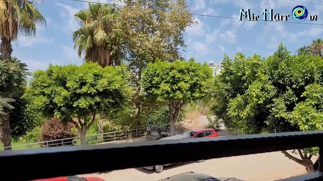 Приехали на море хромоногие🤪 Не отдали нам выигрыш😣 Кафе-сад в центре Авсаллара🏡 Молочные душечки😺 смотреть онлайн