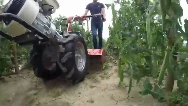 MECCANICA BENASSI MF 225 Μοτοκαλλιεργητής смотреть онлайн