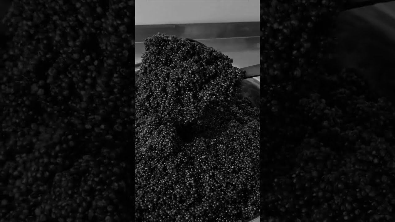 Приготовление черной икры за 5 секунду #shorts смотреть онлайн