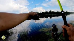 Удилище PREMIER обзор, рыбалка. Замена Горынычам и CROCODILE