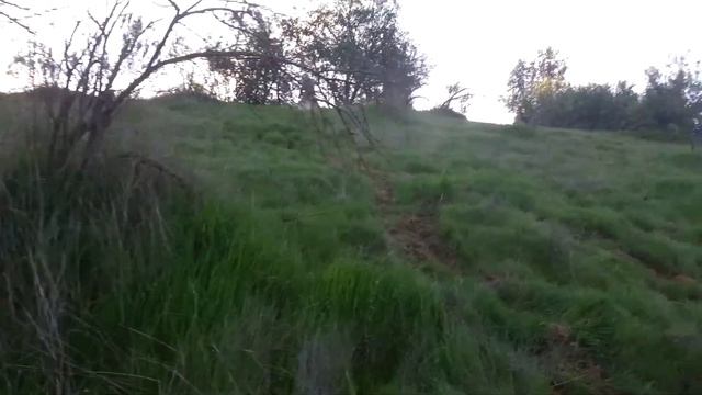 honda xr 100 hill climb subiendo la colina смотреть онлайн