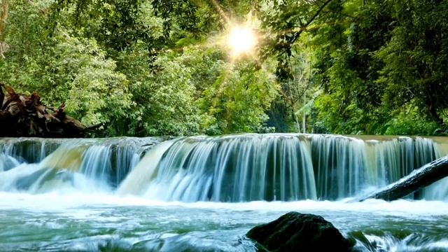 Heartfulness Meditation & Autogenic Training: Relaxing Waterfall #Heartfulness #Meditation смотреть онлайн