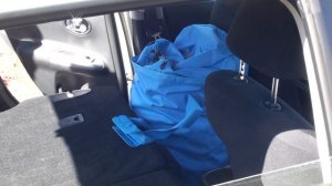 Как переночевать в машине с комфортом?