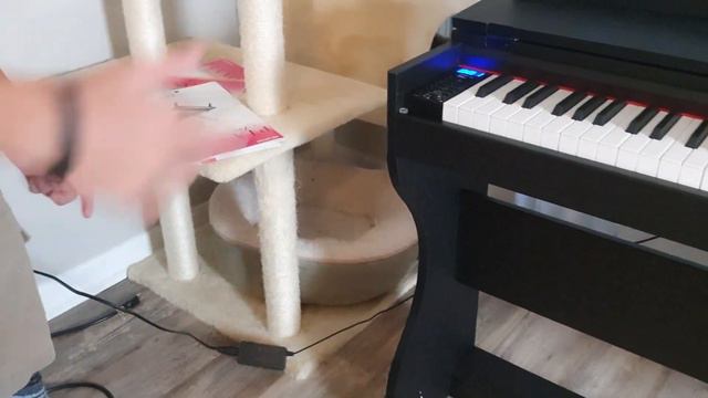 MuStar Digital PIANO UNBOXING + REVIEW смотреть онлайн
