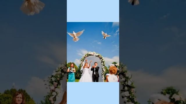 Туйда укылган шигырь. М.Кәрим смотреть онлайн