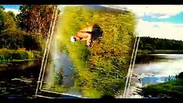 поздравляем с днем рождения!!! смотреть онлайн