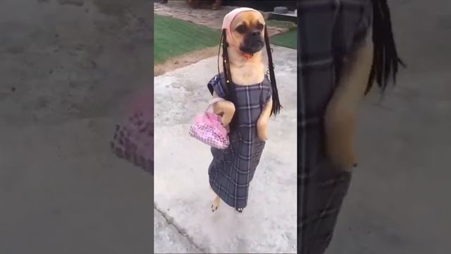 Модница. смотреть онлайн