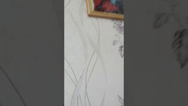 Меня укусила крыса смотреть онлайн