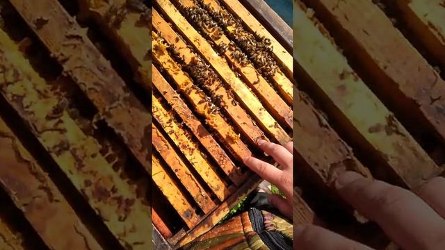 Расширяю вторыми корпусами смотреть онлайн