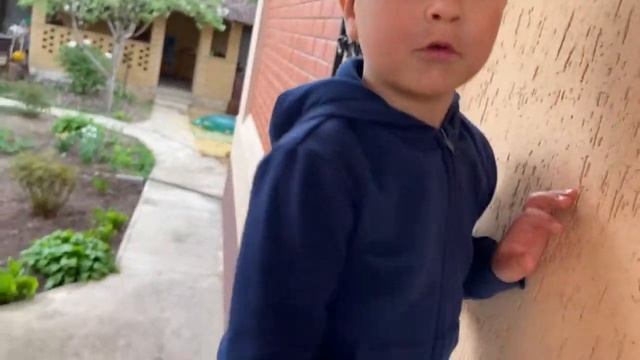 В мире животных - Насекомые. Ребенку 4 года. Раннее развитие смотреть онлайн