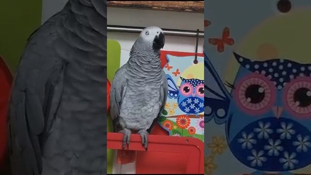 Девочки прикалываются... смотреть онлайн
