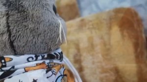 Распаковка посылки из магазина для Басиков | У Басика появилась подруга