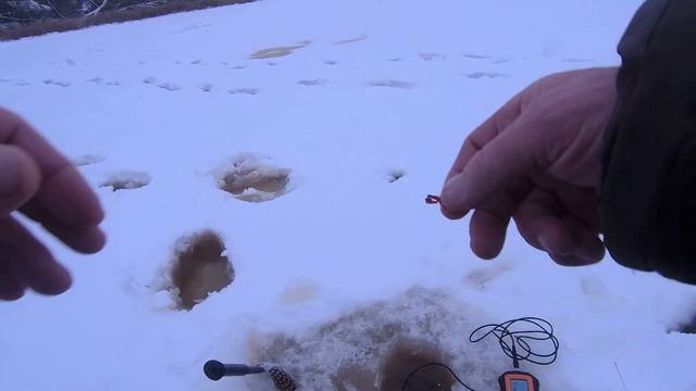 НАТЯНУТА ЛЕСКА .... . смотреть онлайн